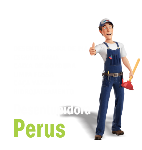 desentupidora em Perus