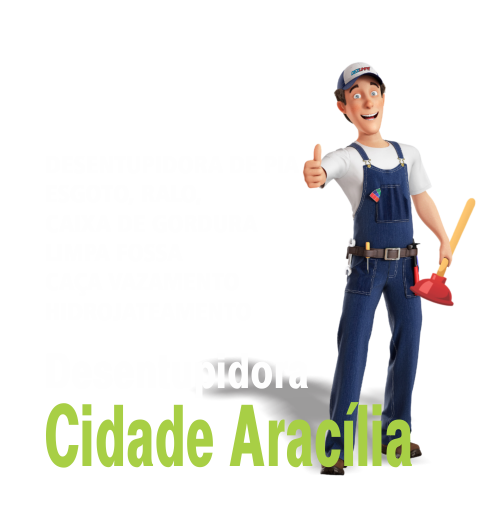 desentupidora em Cidade Aracília