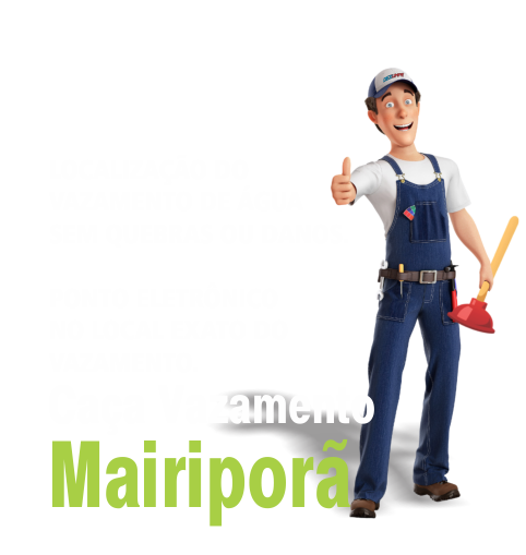 Caça Vazamento em Mairiporã