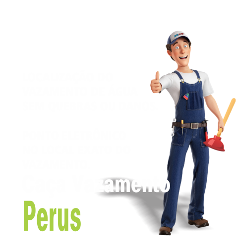 Caça Vazamento em Perus