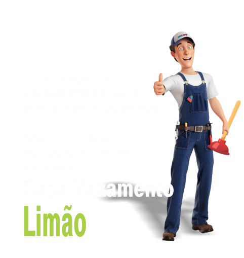 Caça Vazamento no Limão