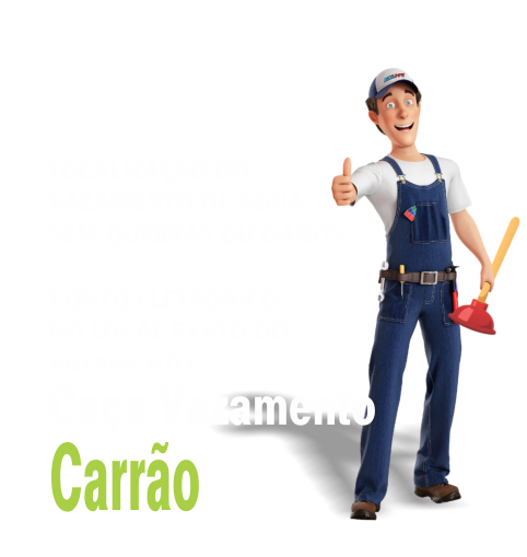 Caça Vazamento no Carrão